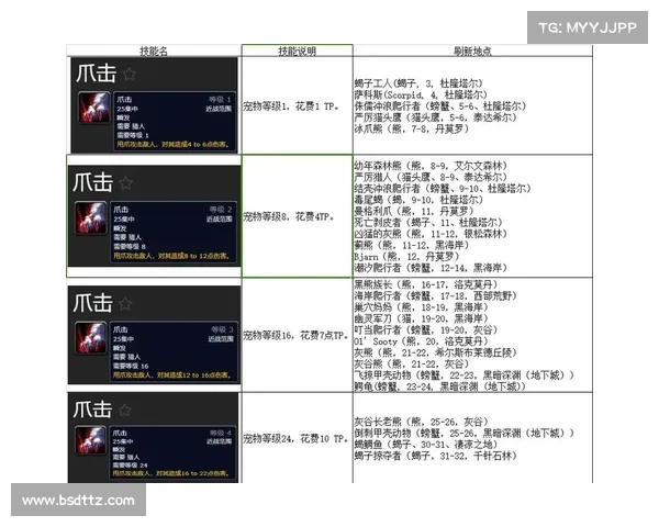 魔兽世界怀旧服:猎人升级攻略 魔兽世界怀旧服:猎人升级攻略